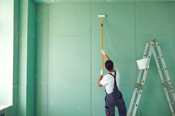 Trusted New Braunfels, TX Mold Removal Experts