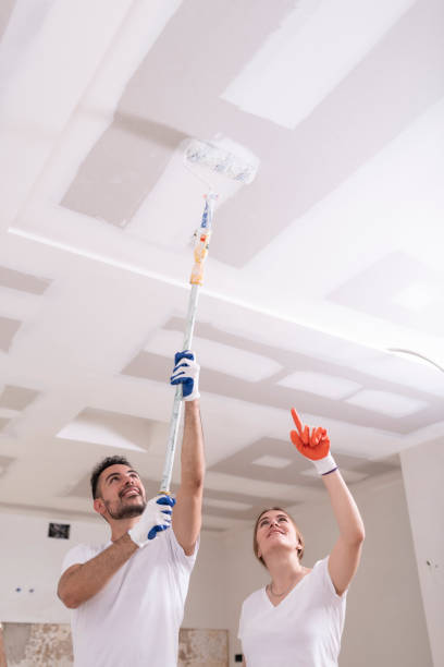 Mold Removal for HVAC Installations in New Braunfels, TX