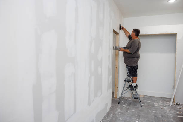 Best Air Quality Testing for Mold Spores  in New Braunfels, TX