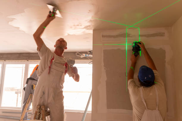 Best Mold Removal for HVAC Installations  in New Braunfels, TX