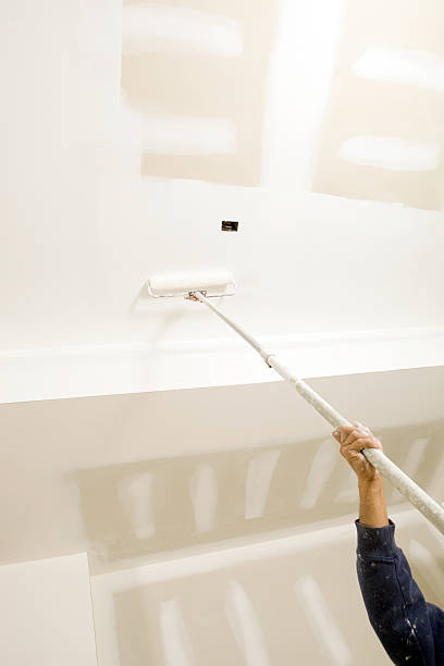 Best Mold Remediation for Healthcare Facilities  in New Braunfels, TX
