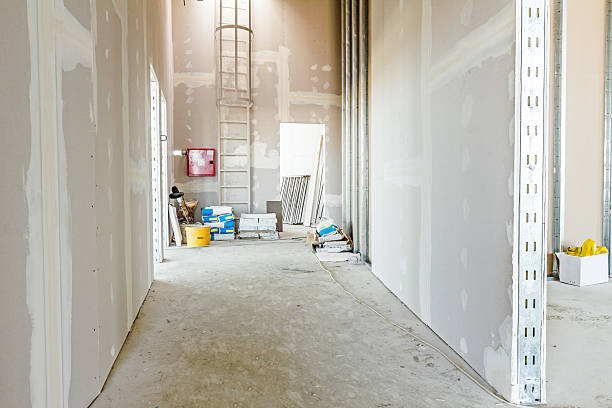 Best Comprehensive Air Testing for Mold Contaminants  in New Braunfels, TX