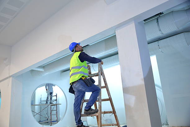  New Braunfels, TX Mold Removal Pros